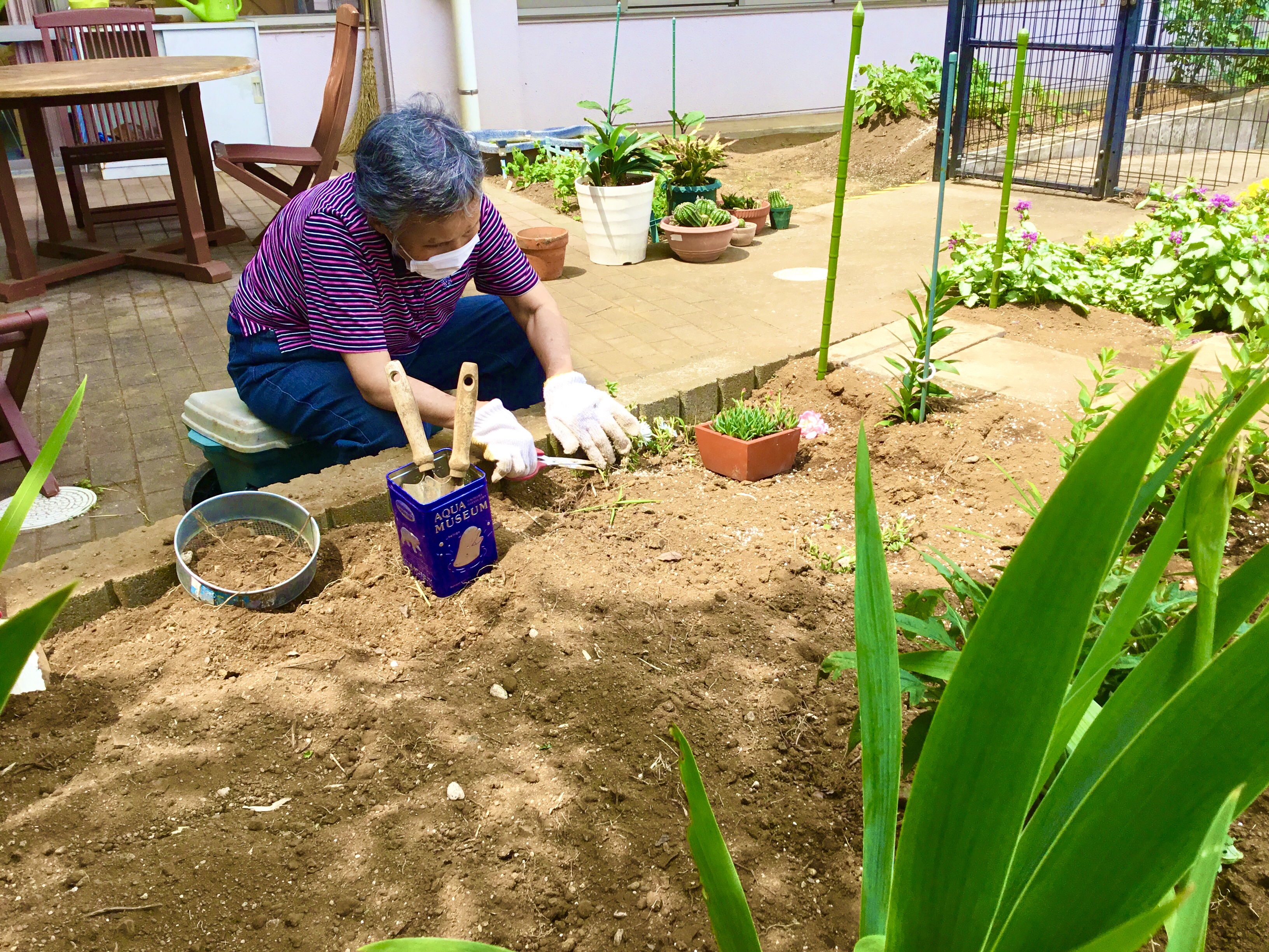 庭での土いじり デイサービス 特別養護老人ホーム ときわ園