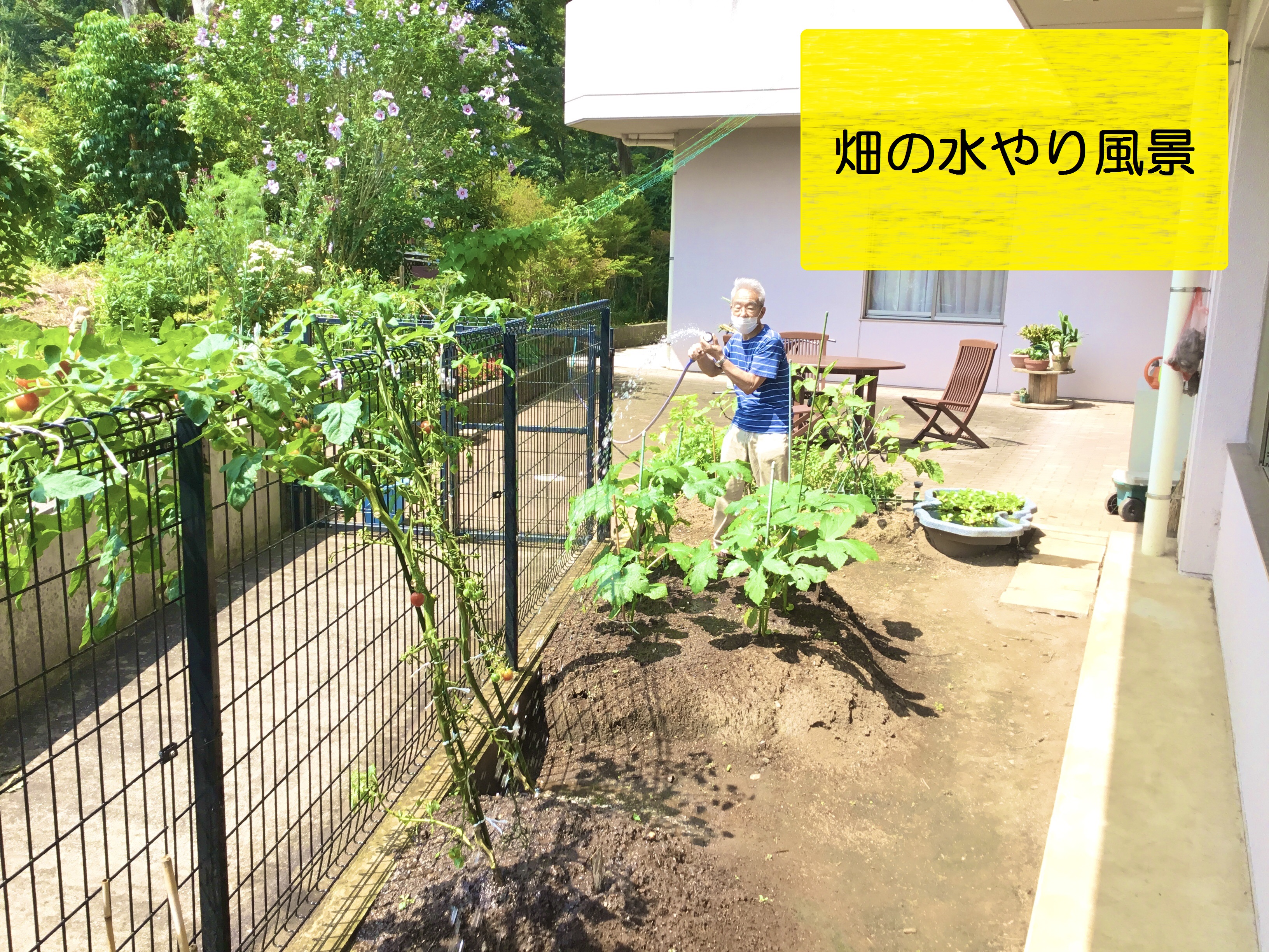 デイフロアの畑への水やり デイサービス 特別養護老人ホーム ときわ園